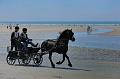 _D3X2194-Marathon des dunes de Fland